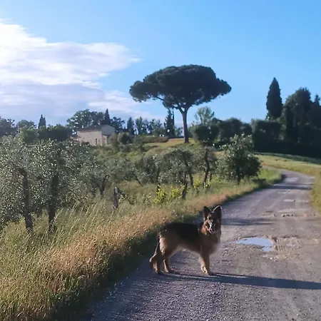Casale La Giara Daire Sorrezzana